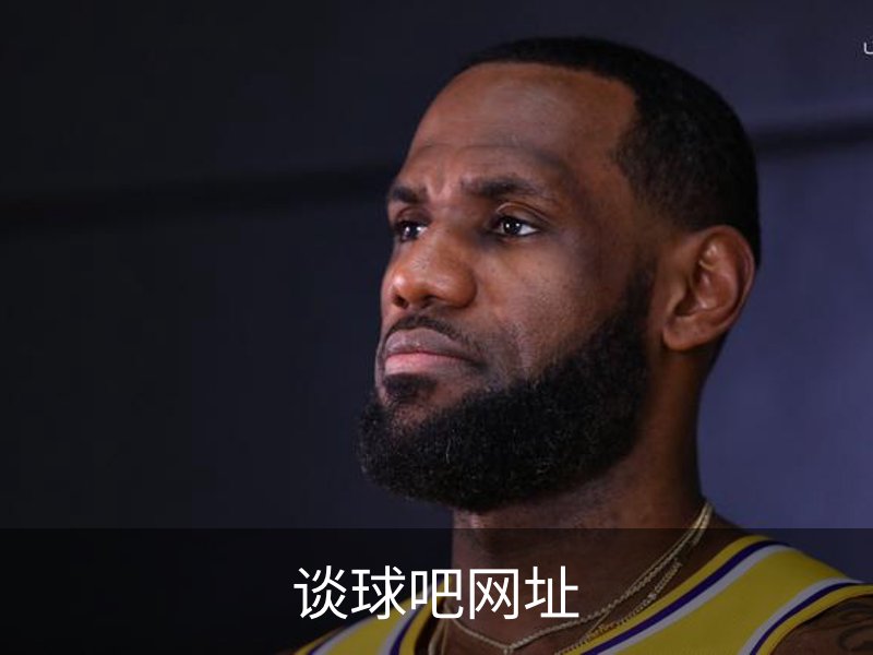 谈球吧网址介绍